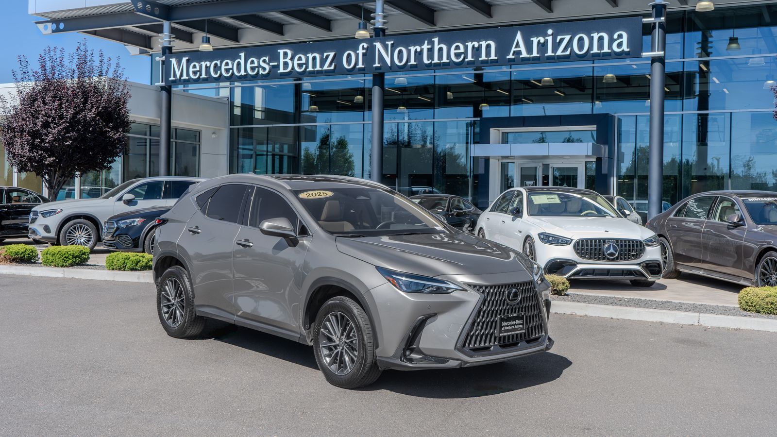 2025 Lexus NX 250 Premium — foto completa 1 de 33