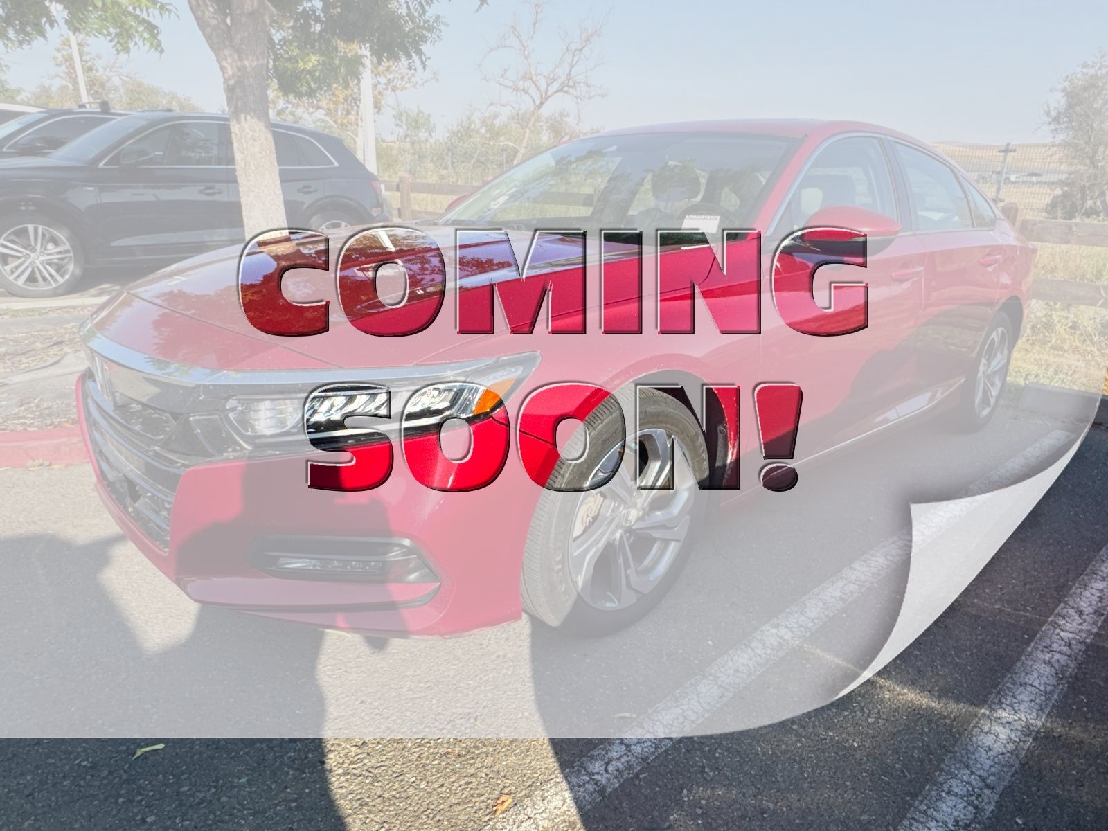 2019 Honda Accord EX-L 2.0T — full photo 1 of 3