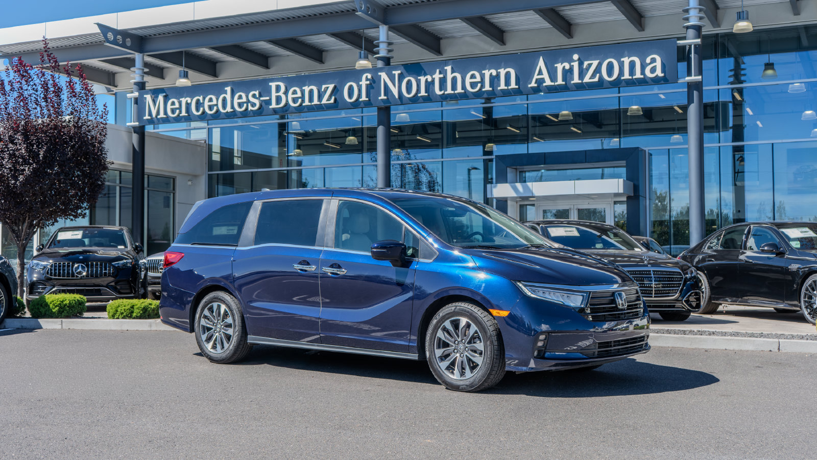 2024 Honda Odyssey EX-L — photo 1 of 36