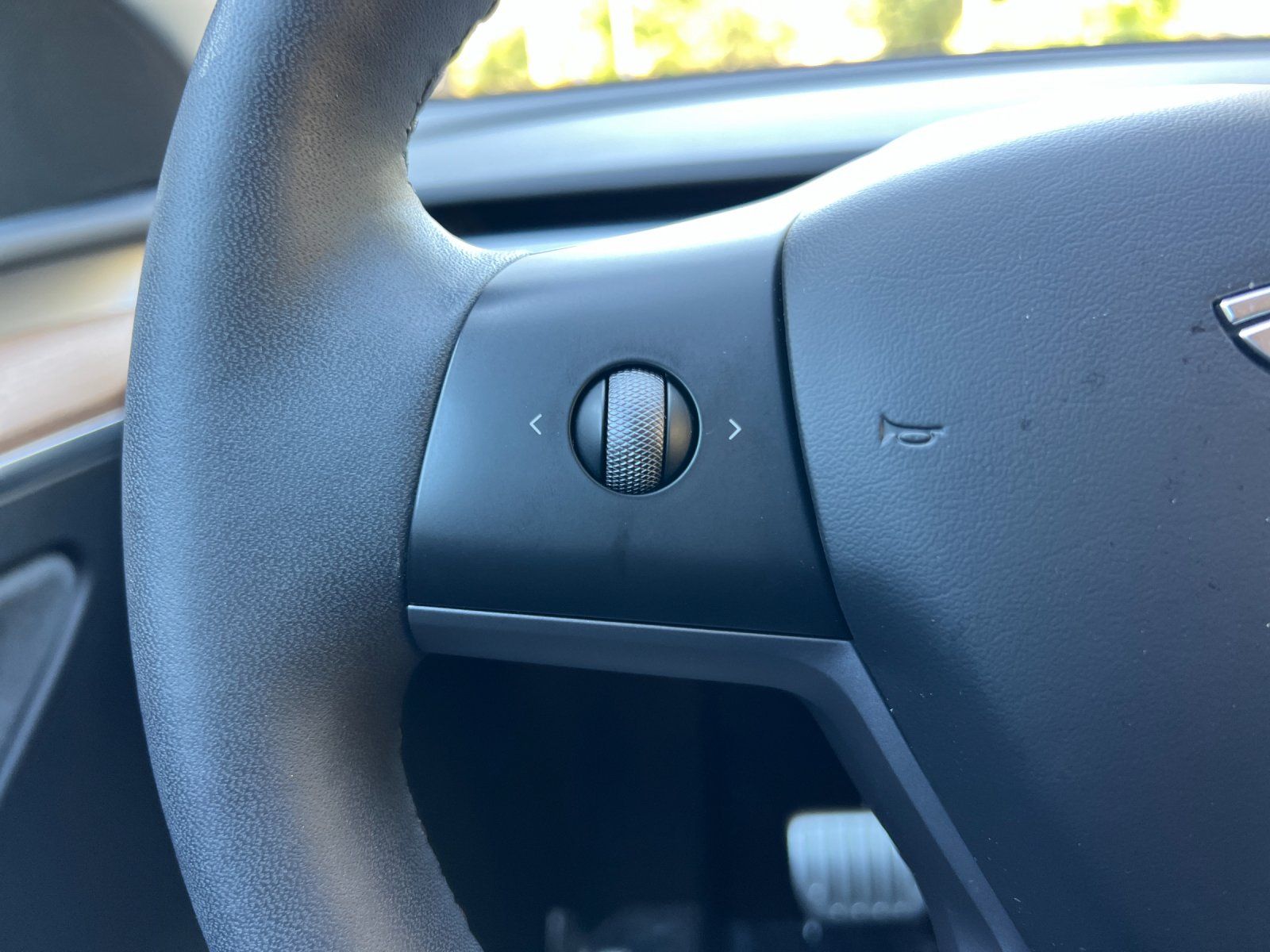 2023 Tesla Model Y Standard Range — full photo 29 of 31