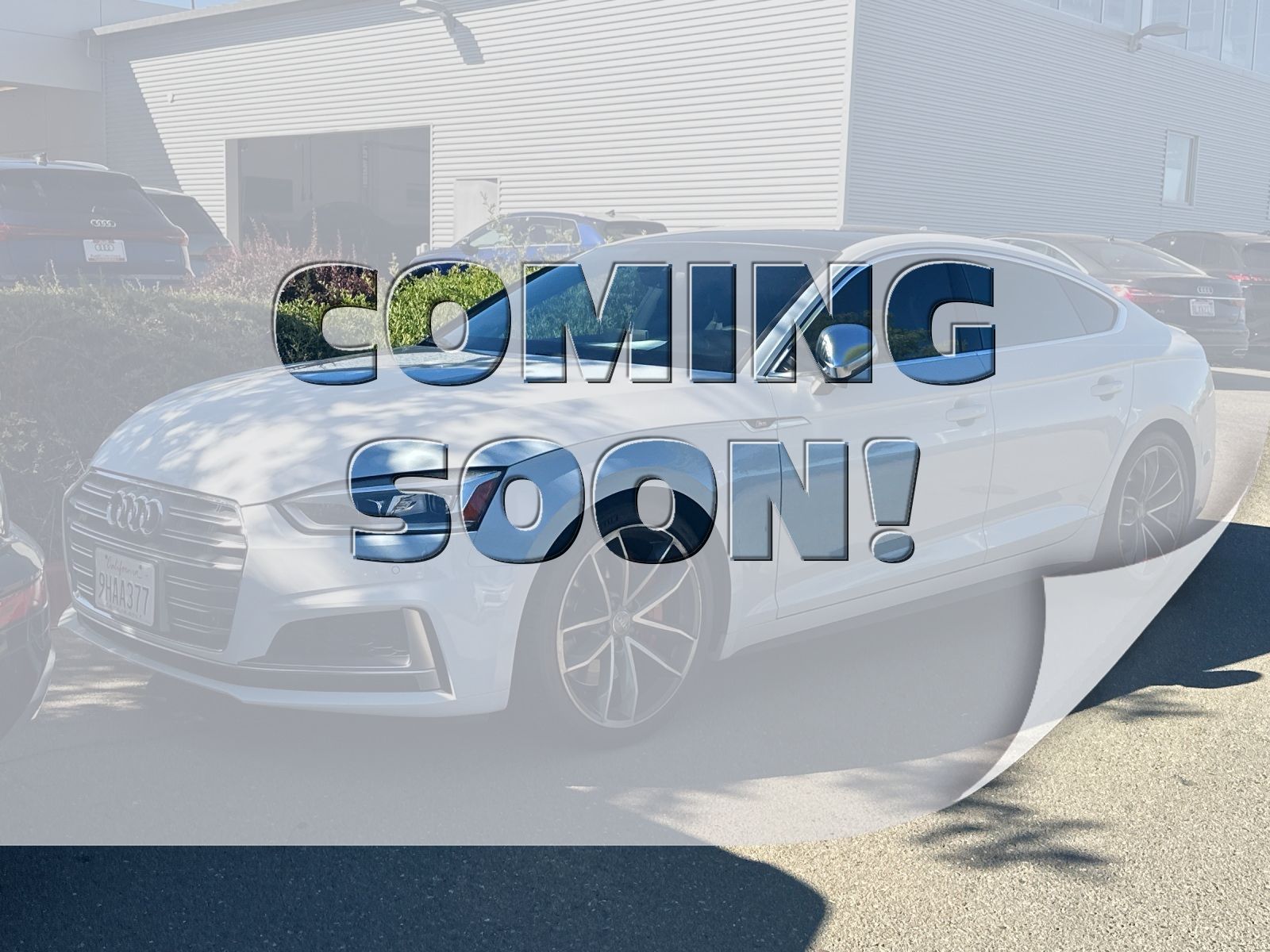 2019 Audi S5 Sportback Premium Plus — full photo 1 of 3